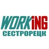 Логотип телеграм канала @vakansii_podrabotka_sestroretske — СЕСТРОРЕЦК Работа