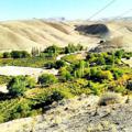 لوگوی کانال تلگرام valatekavaki — کانال روستا کواکی