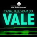 Logo saluran telegram valedamantiqueira — Vale da Mantiqueira