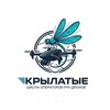 Логотип телеграм канала @valera92ru — Крылатые