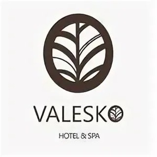 Логотип телеграм канала @valeskohotel — Valesko Hotel & SPA