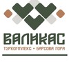 Логотип телеграм канала @valikas86 — Валикас