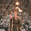 Логотип телеграм канала @valkiriya_witch — RunicMagic✨Forest Witch