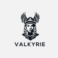 Telgraf kanalının logosu valkyrieshoes — 👠VALKYRIE SHOES👠oптовый тапочки TOPTAN TERLİK