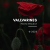 Логотип телеграм канала @vallvarines — vallvarines | фотопроект