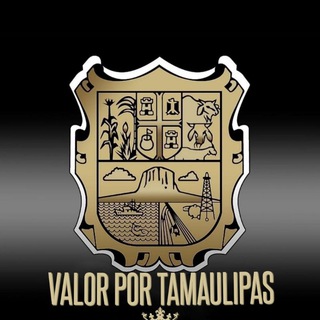 Telegram channel VALOR POR TAMAULIPAS logo