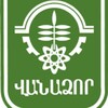 Logo of telegram channel vanadzorinfo — Vanadzor info