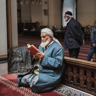 Логотип телеграм канала @vandalism22 — (فَاذْكُرُونِي أَذْكُرْكُمْ)♥️🌿