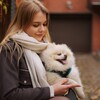 Логотип телеграм канала @vanilkaicocos — Леди с собачкой🐶