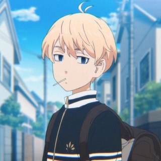 Логотип телеграм канала @vanimetopv — 🐢AnimeHouse🐢