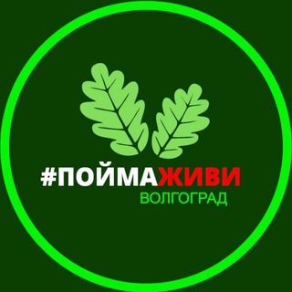 Логотип телеграм канала @vapoima — ПоймаЖиви