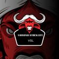 Logo saluran telegram varanasistocklife — VARANSI STOCK LIFE