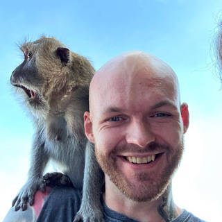 Логотип телеграм канала @vargpro — Отзывы, статистика «ПРОГНОЗЫ КАЖДЫЙ ДЕНЬ»