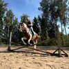 Логотип телеграм канала @variny_tvari — Варины_тВари