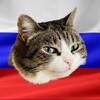 Логотип телеграм канала @varonina — Varonina