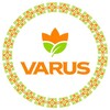 Логотип телеграм -каналу varus_channel — VARUS