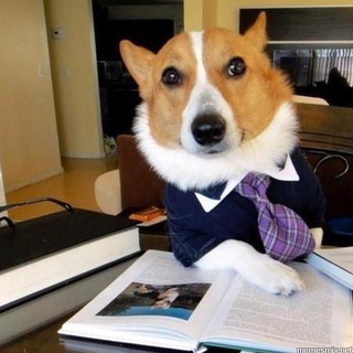 Логотип телеграм канала @vash_advokat24 — Ваш Адвокат 24/7