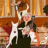 Логотип телеграм канала @vashimimolitvami — Дарьяночка на ладошке