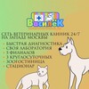 Логотип телеграм канала @vasilekvet — Ветклиника «ВАСИЛЁК»