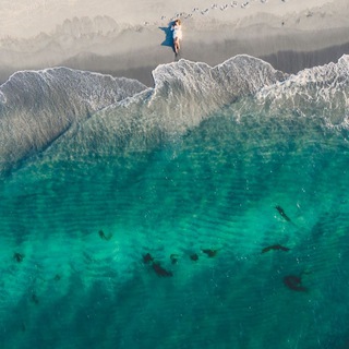 Логотип телеграм канала @vasilinatravel — Vasilina_travel