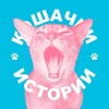 Логотип телеграм канала @vasiljevanastya — Настя и кошачьи истории 🐱