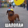 Telegram channel Угадай че ваттну🍥 logo