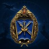 Логотип телеграм канала @vavkoacademy — ВА ВКО вещает