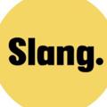 Logo saluran telegram vazny_slang — Чешский язык со школой Slang.