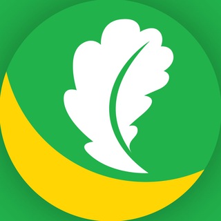 Логотип телеграм канала @vbuturlinovke — Бутурлиновка СЕГОДНЯ 🇷🇺