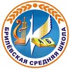 Логотип телеграм канала @vcurrg5zlllzgqy — Брилёвская средняя школа