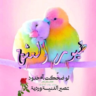 لوگوی کانال تلگرام vdcdjgdrhjeffevsiegv2019 — ♪طـ🎶ـيور♪العشـ🎶ـق♪