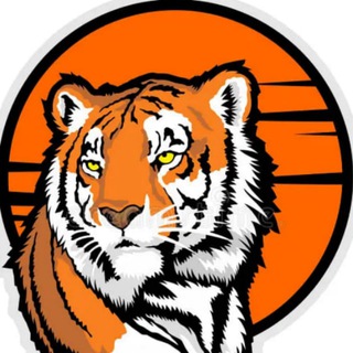 Логотип телеграм канала @vdk_tiger_vladivostok25 — Владивосток погода 25 сводка 25 дпс вл сейчас прямо сейчас пожар взрыв авария дтп чп Уссурийск Находка онлайн vl.ru чуркин