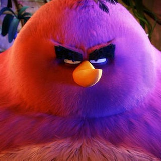 电报频道的标志 vdslaoniao — 老鸟社区全球行情播报站