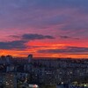 Логотип телеграм канала @vdzrlove — в дзр любят