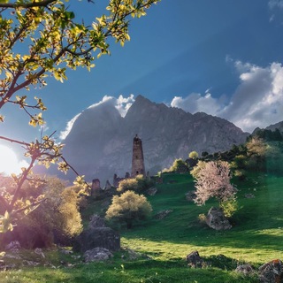 Логотип телеграм канала @vecheringushetiya — Вечерняя Ингушетия