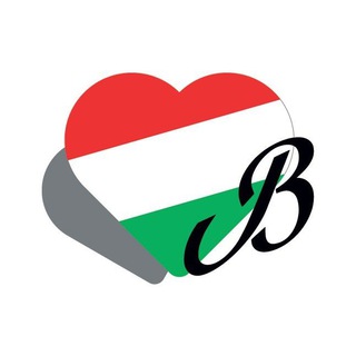 Логотип телеграм канала @vedihungary — Венгрия - открытое сердце Европы!