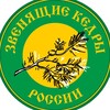 Логотип телеграм канала @vedrussia — Звенящие Кедры - Мегре, Анастасия, Родовые поместья