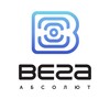 Логотип телеграм канала @vega_absolute — Вега-Абсолют