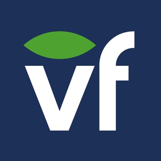 Логотип телеграм канала @vegafoodru — Vegafood