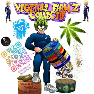 Logo de la chaîne télégraphique vegetale_farmz_officiel - VEGETALE FARMZ OFFICIEL