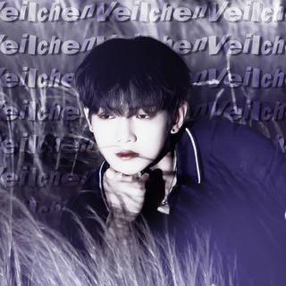 Логотип телеграм канала @veilchenn — (закрыт) ୨˚₊ 🫐 𝓥𝓮𝓲𝓵𝓬𝓱𝓮𝓷 ₊˚ ♡ɞ