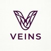 Логотип телеграм канала @veinsvpn — Veins VPN — Канал