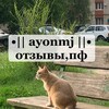 Логотип телеграм канала @veitlch — •|| ayonmj ||• отзывы,пф