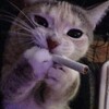 Логотип телеграм канала @velen66 — Velen