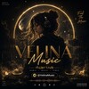 لوگوی کانال تلگرام velinamusic — Velina Music | ولینا مـوزیک