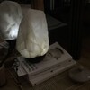 Логотип телеграм канала @velioraaa — veliora evolve