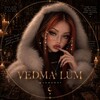 Логотип телеграм канала @velve_tvenom_lune777 — 𐙚𝑉𝐸𝐷𝑀𝐴 𝐿𝑈𝑀 🤍