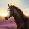 Логотип телеграм канала @velvet_club1 — 🐚𝑉𝑒𝑙𝑣𝑒𝑡~°𝐶𝑙𝑢𝑏🐚