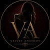 Логотип телеграм канала @velvetanatomy — Vᴇʟᴠᴇᴛ Aɴᴀᴛᴏᴍʏ