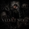 Логотип телеграм канала @velvetwolf_kf — 𝘝𝘌𝘓𝘝𝘌𝘛 𝘞𝘖𝘓𝘍